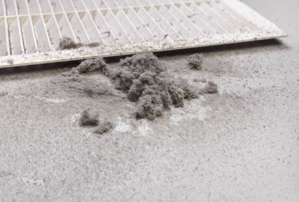 Best Affordable Air Duct Cleaning  in Sayre, PA