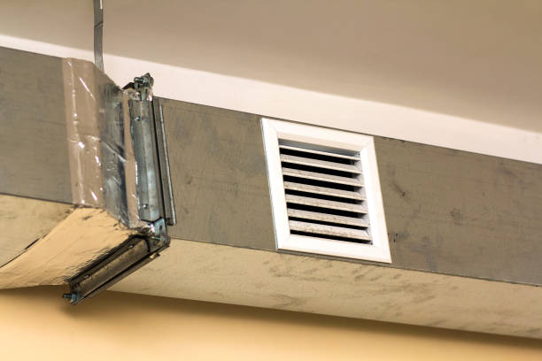 Best Air Duct Sanitizing Services  in Sayre, PA